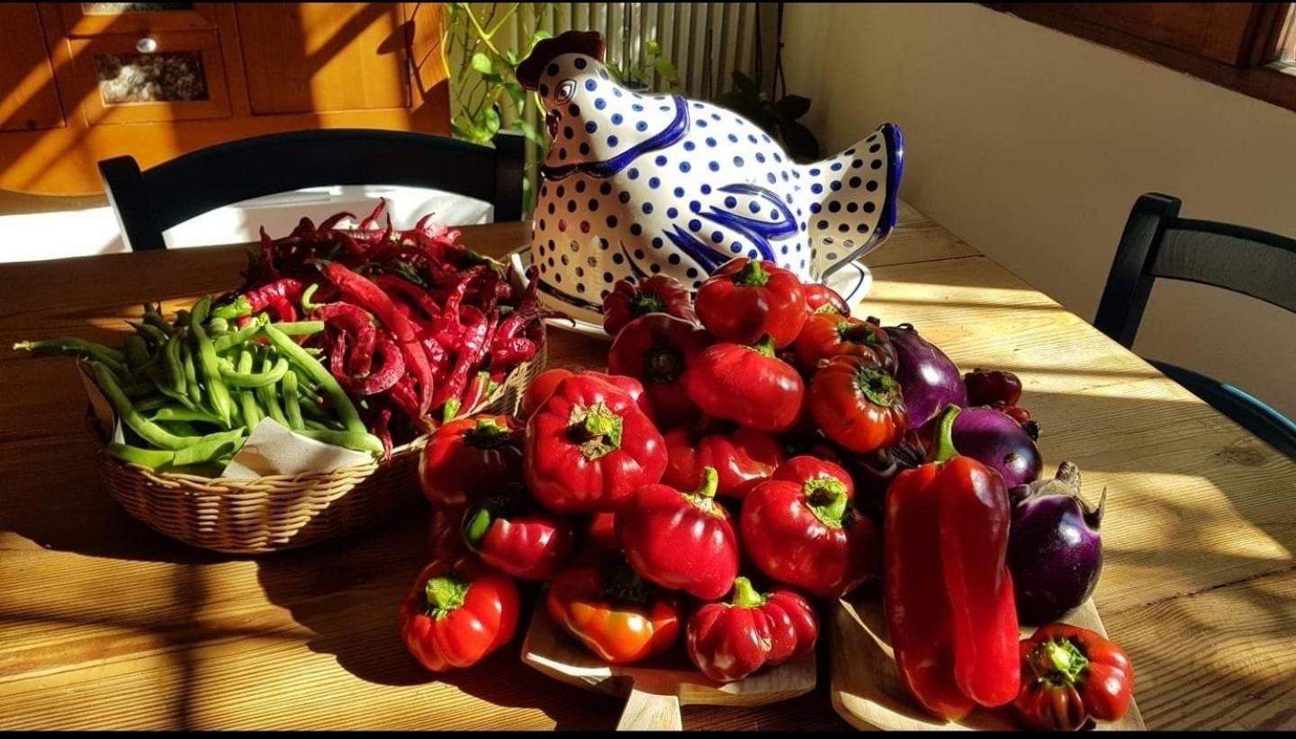 콰르투 산텔레나 Il Giardino Di Frafa 아파트 외부 사진